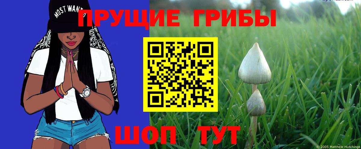 Псилоцибиновые грибы мицелий  Вход с VPN  Ухта  Псилоцибиновые грибы GOLDEN TEACHER 