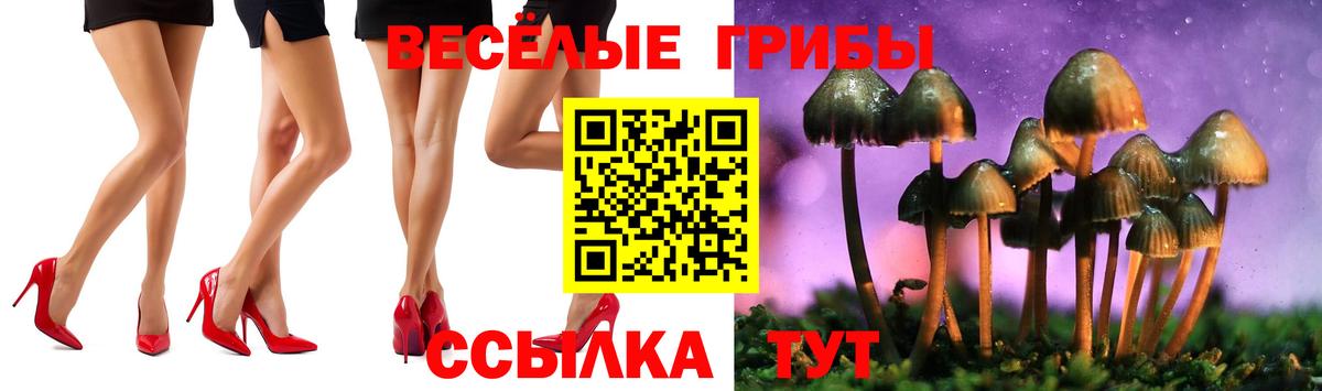 Псилоцибиновые грибы GOLDEN TEACHER Ухта